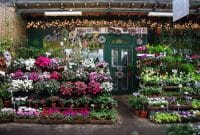 Beberapa Tips Manjur Agar Bisa Pas Memilih Bunga di Florist Bunga Terdekat Beberapa Tips Manjur Agar Bisa Pas Memilih Bunga di Florist Bunga Terdekat