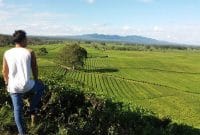 Auto Draft Auto Draft