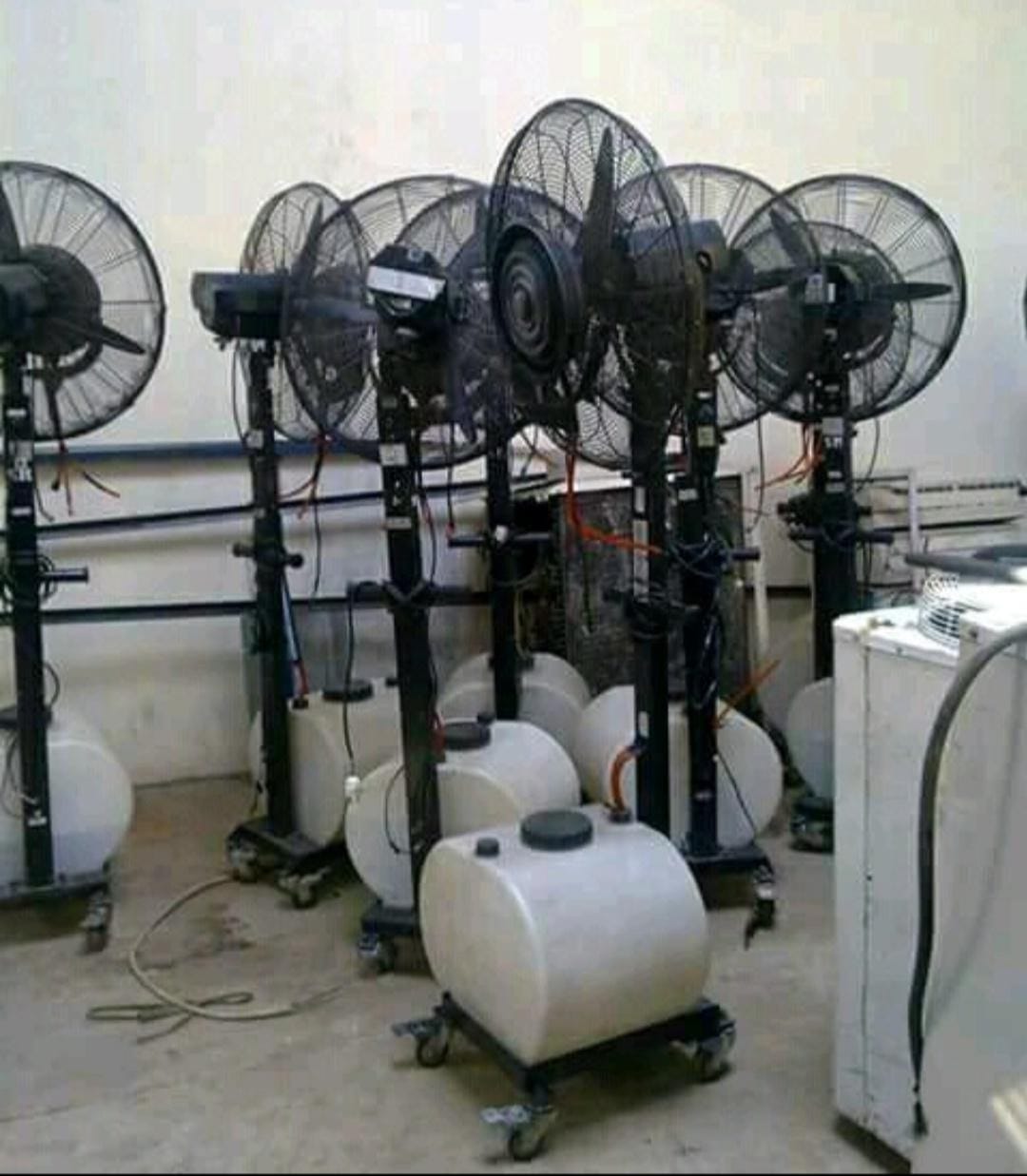 Begini Cara Membersihkan Misty Fan yang Benar Begini Cara Membersihkan Misty Fan yang Benar