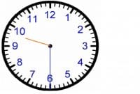 Kucing Saya Kalau Malam Susah Tidur, Bagaimana Mengatasinya ?