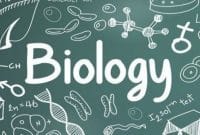 6 Tips Belajar Biologi