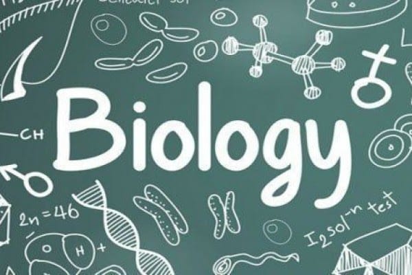 6 Tips Belajar Biologi 6 Tips Belajar Biologi