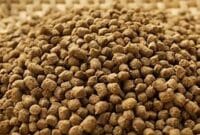 Auto Draft Auto Draft