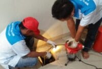 Auto Draft Auto Draft