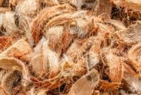 Auto Draft Auto Draft