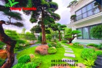 Auto Draft Auto Draft