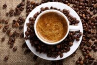 Auto Draft Auto Draft