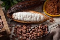 Auto Draft Auto Draft