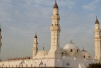 Auto Draft Auto Draft